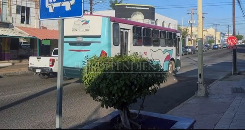 En La Paz, construirán nuevos paraderos de autobuses para el Tiburón Urbano En La Paz, construirán nuevos paraderos de autobuses para el Tiburón Urbano