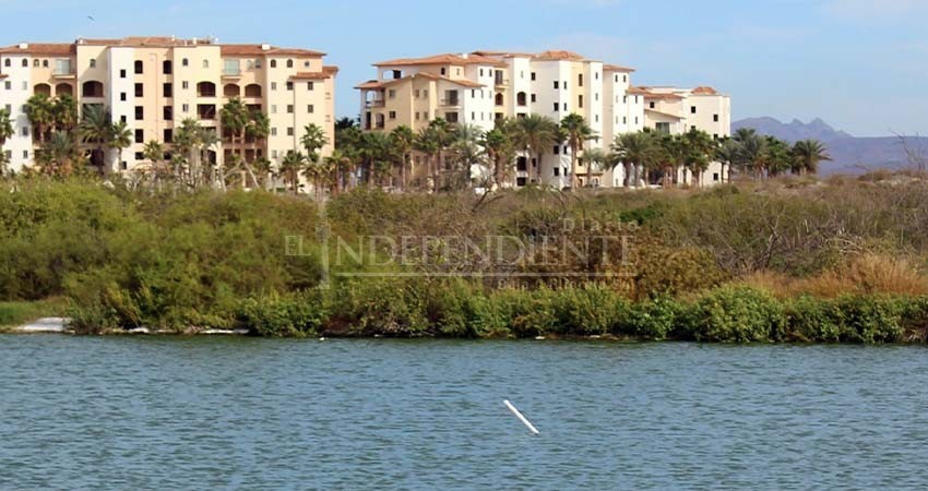 Proyectos turísticos e inmobiliarios amenazan manglares de El Mogote Proyectos turísticos e inmobiliarios amenazan manglares de El Mogote