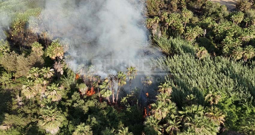 Fueron totalmente sofocados los incendios registrados en el municipio de La Paz