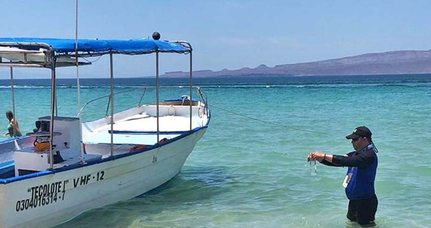 Confirma COEPRIS que playa el Tecolote está en condiciones para actividades recreativas