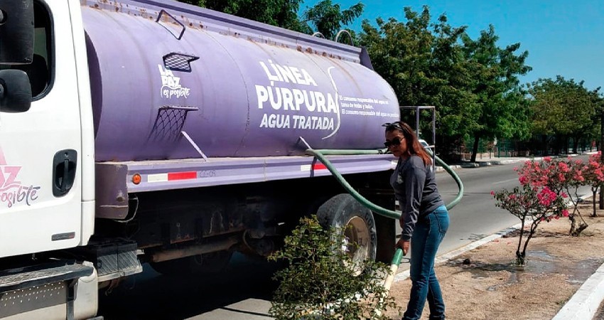 Recibe Ayuntamiento de La Paz reconocimiento como Ciudad Árbol del Mundo