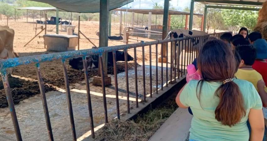 UABCS lleva a cabo visita para niños y niñas en su Posta Zootécnica