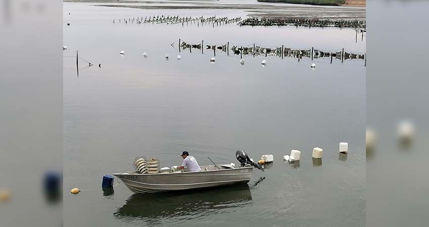 Reconoce SEPADA la organización del sector pesquero y acuícola
