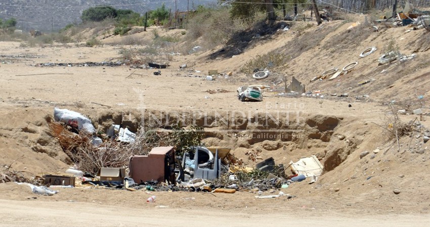 Multa de hasta 13 mil pesos a quienes tiren basura en vía pública y arroyos: SEPUM Multa de hasta 13 mil pesos a quienes tiren basura en vía pública y arroyos: SEPUM