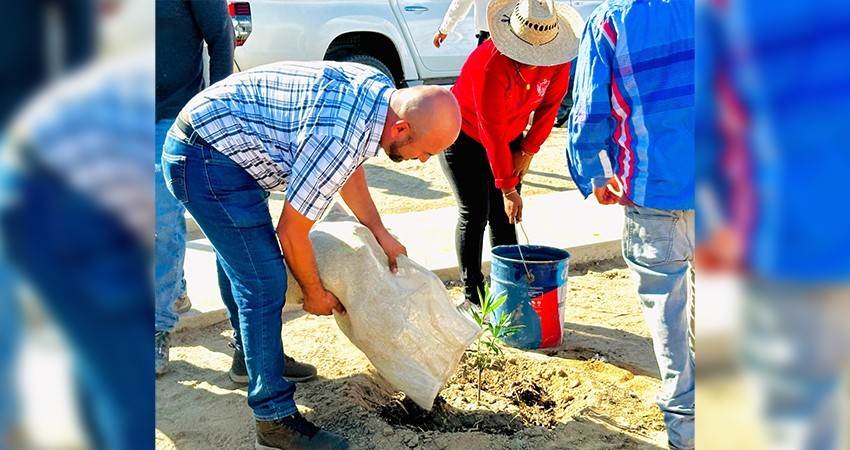 Se suma CMIC al Programa “Pulmones Urbanos” de SEPUM Se suma CMIC al Programa “Pulmones Urbanos” de SEPUM