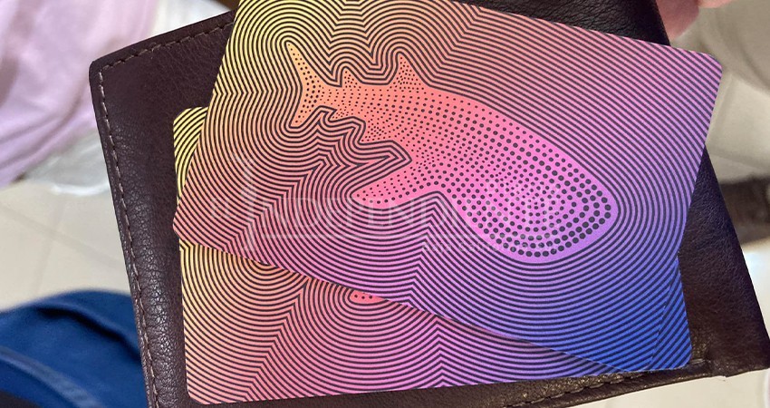 Instalarán kioscos automáticos para venta y recarga de tarjetas de Tiburones Urbanos Instalarán kioscos automáticos para venta y recarga de tarjetas de Tiburones Urbanos