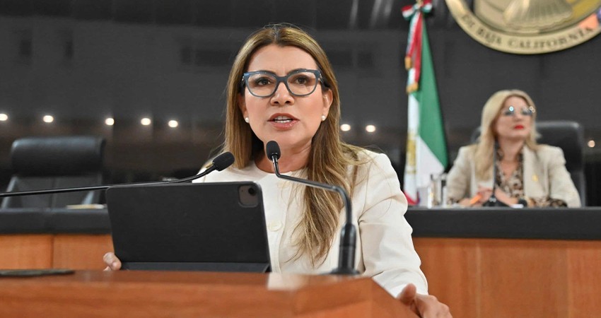 Una burda mentira que México tiene mejor sistema de salud que Dinamarca: Saldaña Cisneros Una burda mentira que México tiene mejor sistema de salud que Dinamarca: Saldaña Cisneros