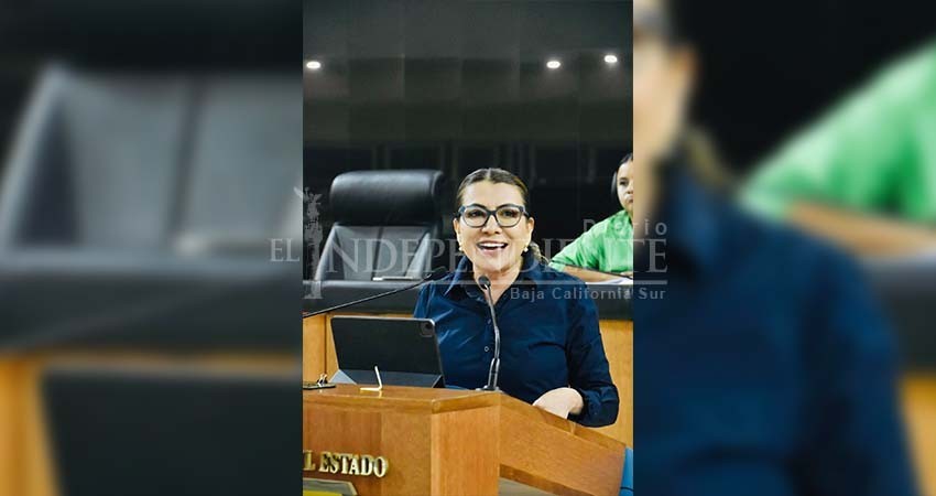 Renovación de presidencia del PAN en BCS se hará en noviembre: Saldaña Cisneros