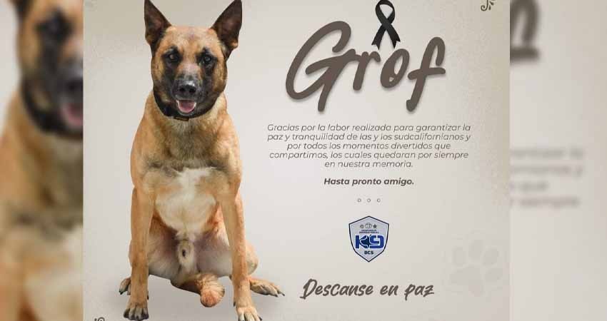 El binomio de la SSPE en calidad de desaparecido fue localizado sin vida