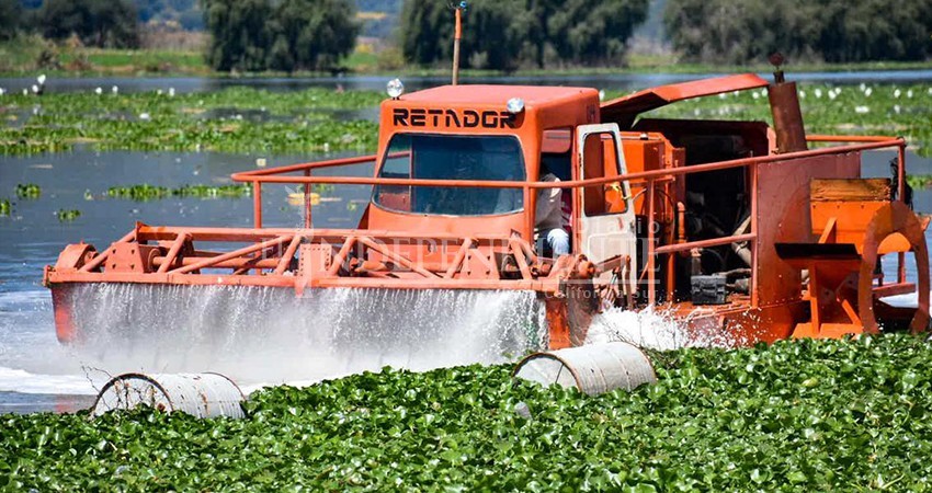 “No llegó la widoo”; Dirección de Ecología sin maquinaria para combatir lirio acuático “No llegó la widoo”; Dirección de Ecología sin maquinaria para combatir lirio acuático