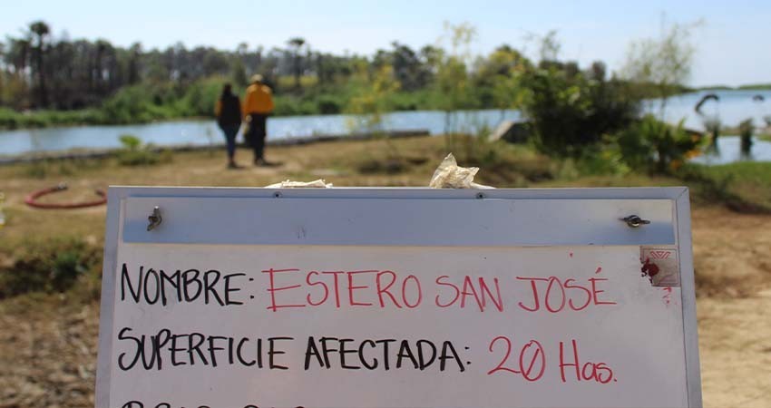 "Depende de la actual Administración de Los Cabos rescate del Estero Josefino”: Alvarado Aragón