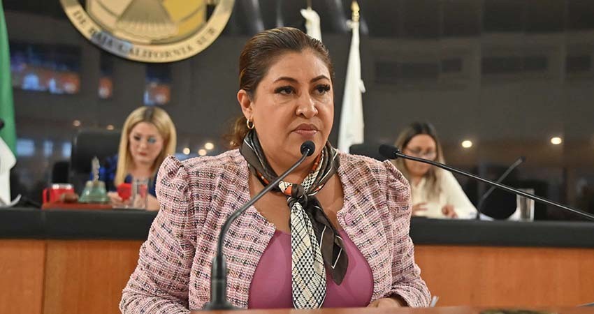 “Que los derechos de los pueblos indígenas y afromexicanos sean una realidad vivida”: diputada Contreras Rebollo