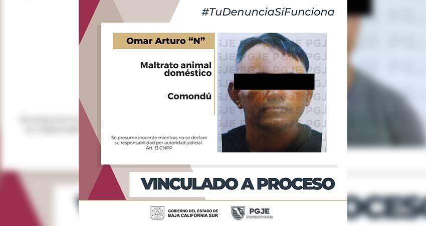 Vinculan a proceso a imputado por maltrato animal doméstico