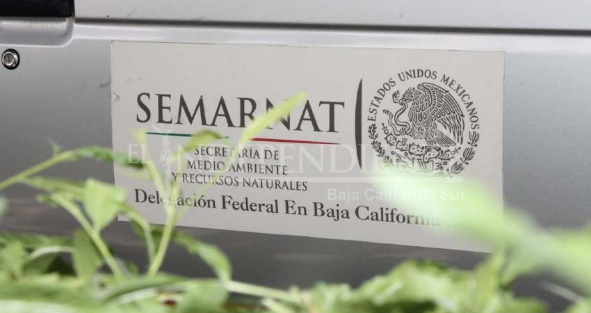 Semarnat anula autorización de la mina Los Cardones