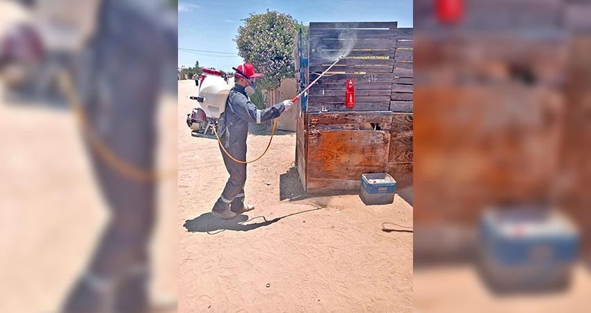 Continúan acciones de prevención y control de rickettsiosis en la zona de Vizcaíno