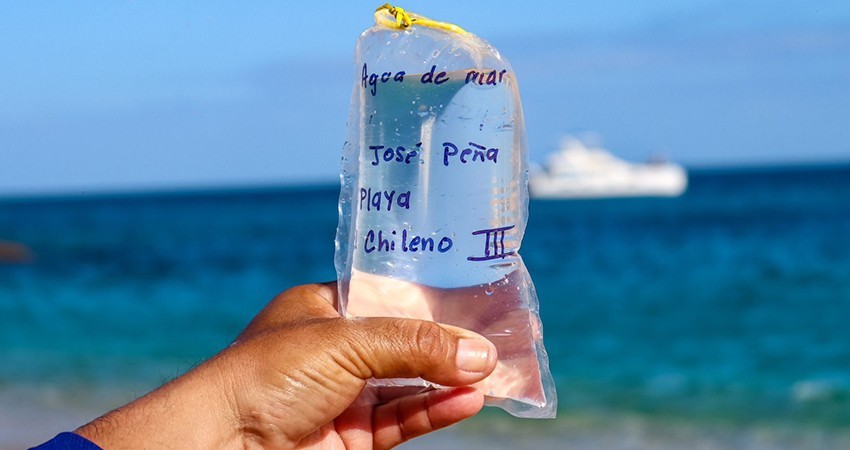 ZOFEMAT: Playas certificadas de Los Cabos están en óptimas condiciones para uso recreativo