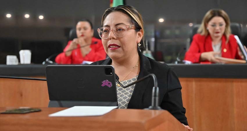 Que el FOIS de Mulegé adquiera camiones recolectores de basura y luminarias: diputada Teresita Valentín Que el FOIS de Mulegé adquiera camiones recolectores de basura y luminarias: diputada Teresita Valentín