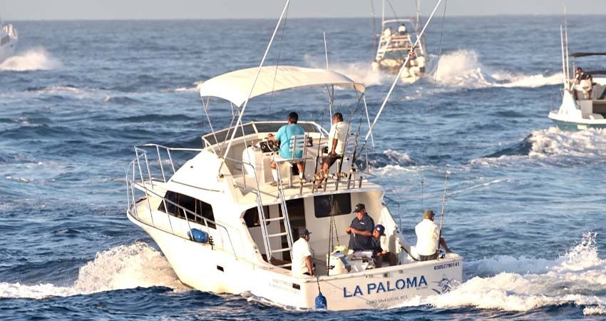 CSL será sede del campeonato mundial “Big Game Trolling” CSL será sede del campeonato mundial “Big Game Trolling”