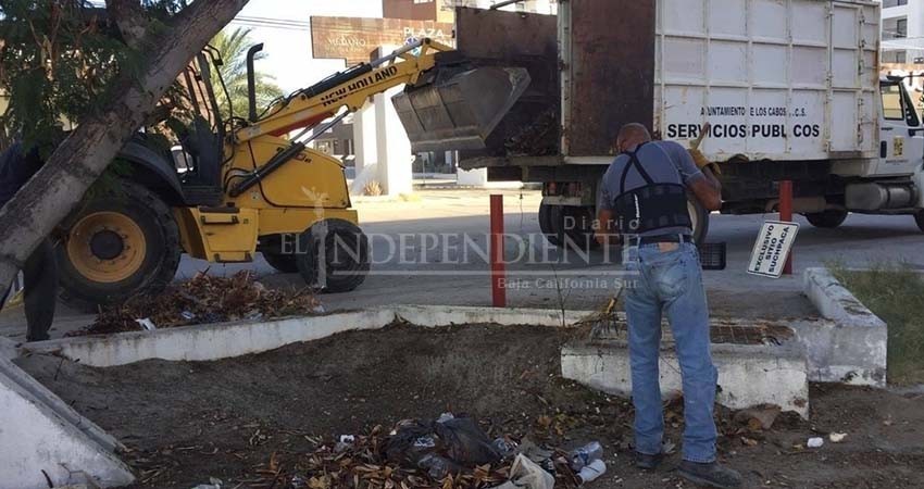 En dos meses, al menos cuatro personas han sido detenidas por tirar basura en vía pública en Los Cabos