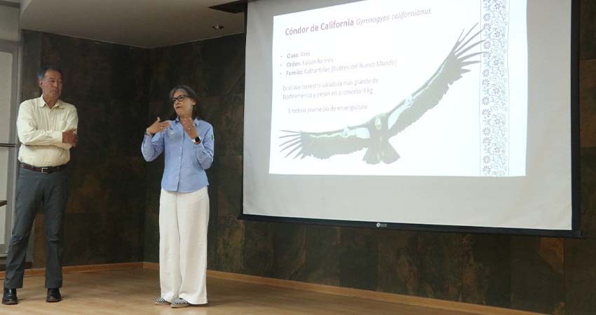 Presentan en la UABCS conferencia sobre el Cóndor de las Californias