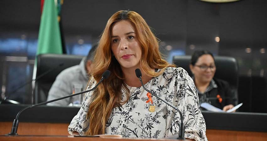 Proponen armonizar el marco jurídico en materia violencia política de género