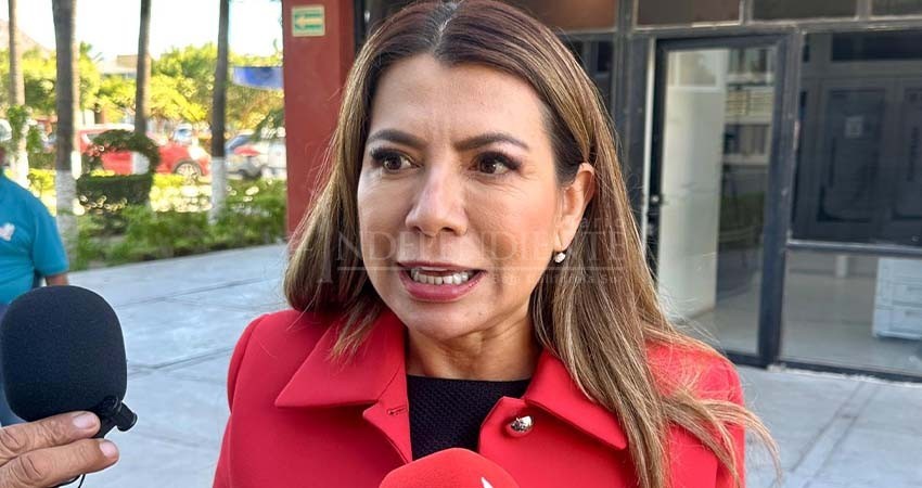 Exige Saldaña Cisneros investigación a fondo por irregularidades en la contratación de Chayanne Exige Saldaña Cisneros investigación a fondo por irregularidades en la contratación de Chayanne