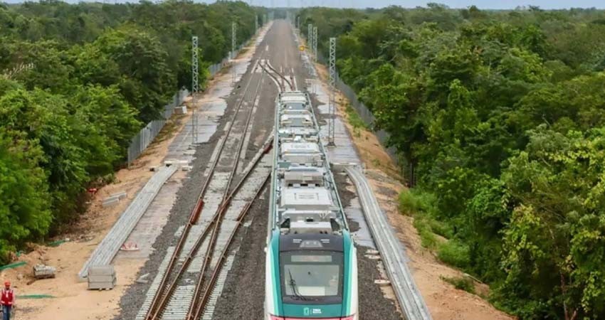 Verificará Profepa que empresa contratada para ahuyentar animales sobre Tren Maya cumpla normatividad