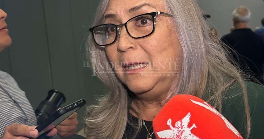 Confirma SSA cinco muertes por dengue en BCS Confirma SSA cinco muertes por dengue en BCS