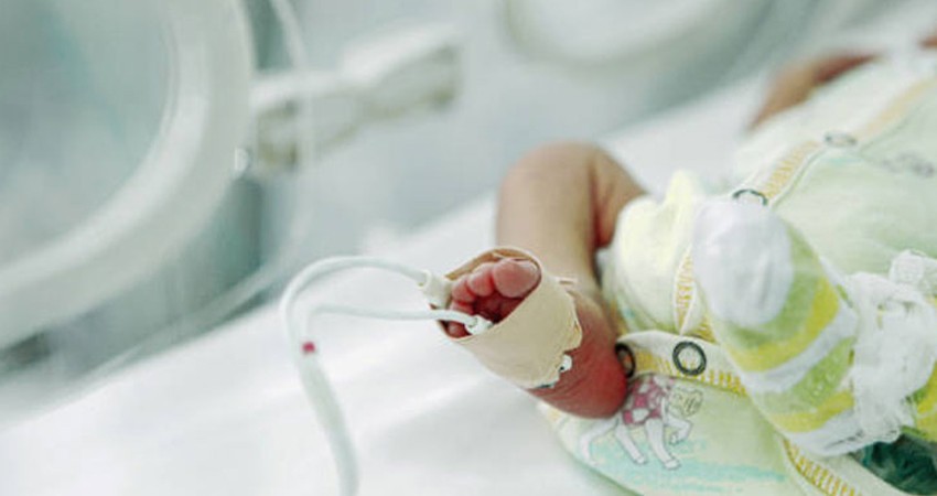 México eleva a 17 las muertes de bebés en hospitales debido a bacteria Klebsiella Oxytoca México eleva a 17 las muertes de bebés en hospitales debido a bacteria Klebsiella Oxytoca