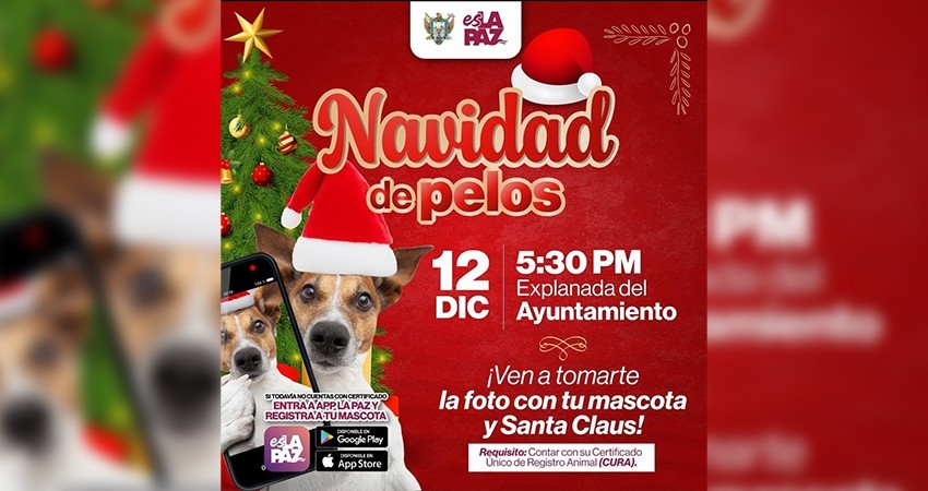 Invitan al evento “Navidad de pelos” para tomarse fotografías con Santa Claus