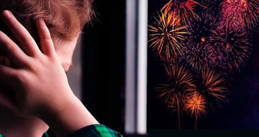 Que ya no se use la pirotecnia en BCS, pide el diputado Sergio Guluarte