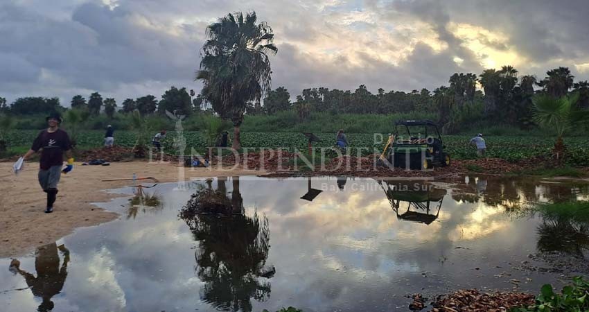 Desconoce la Contraloría de BCS irregularidades en el Fideicomiso de Saneamiento Ambiental Desconoce la Contraloría de BCS irregularidades en el Fideicomiso de Saneamiento Ambiental
