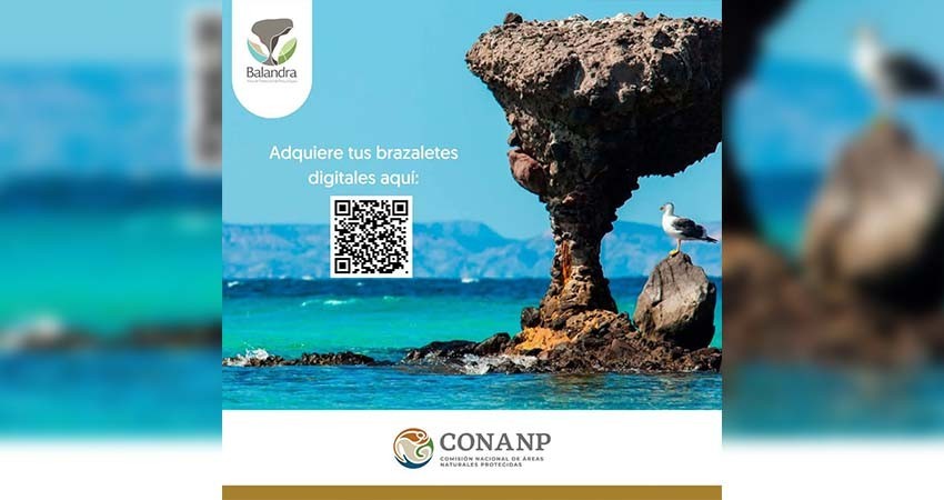 Anuncian nueva dinámica para ingresar a playa Balandra