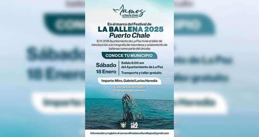 Impartirán taller de fotografía en el marco del Festival de la Ballena en Puerto Chale
