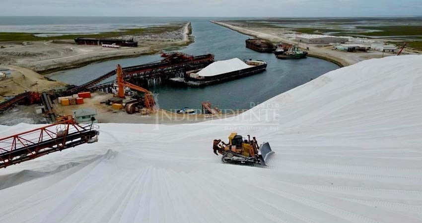 Busca la alcaldesa de Mulegé audiencia con director de Exportadora de Sal