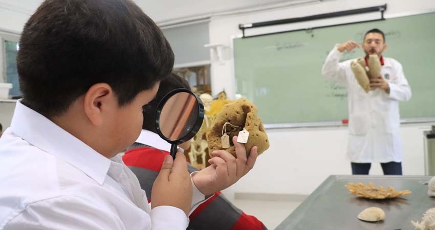 UABCS fomenta vocaciones científicas de niños y niñas de primaria en su Semana de Acercamiento a la Ciencia