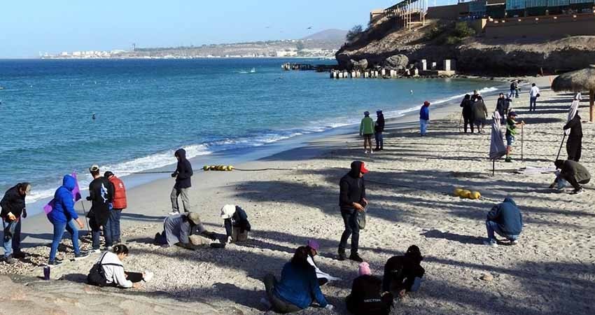 Recolectan 25 kilos de residuos en Macro Limpieza en playa “El Coromuel”