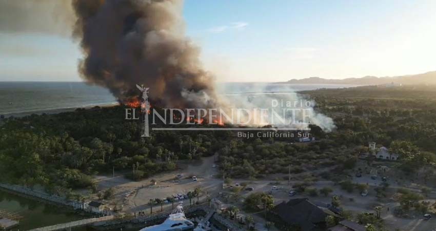 Los múltiples incendios del Estero de San José del Cabo