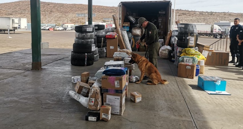 Son detenidas 15 personas y 138 paquetes asegurados en módulos de revisión secundaria