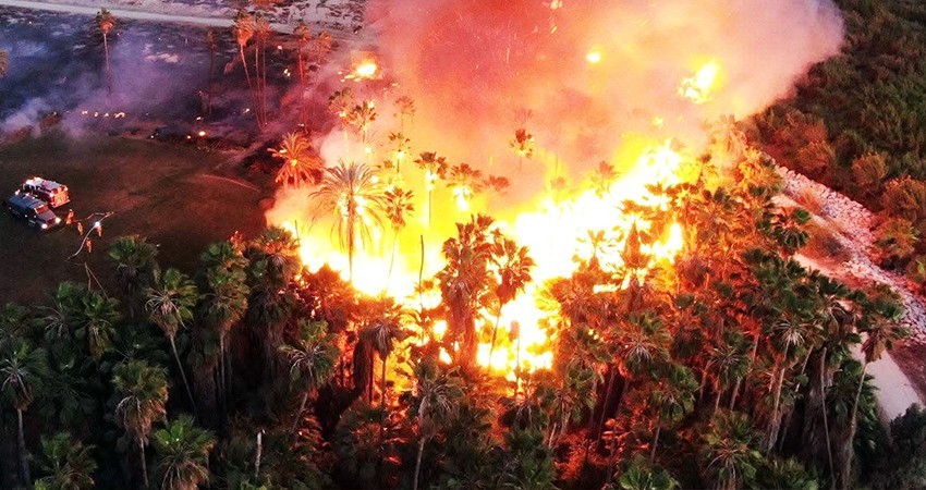 FGR lleva la investigación por el incendio en la reserva del Estero Josefino