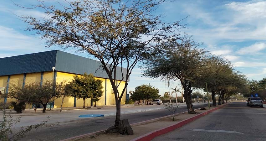 UABCS y Policía Cibernética colaboran para garantizar seguridad digital de la comunidad universi-taria