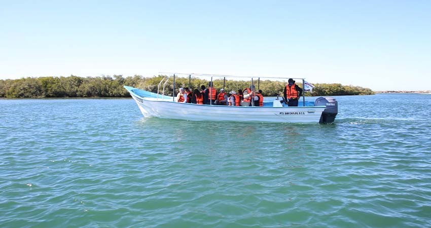 Puerto Chale impulsa el turismo sustentable con actividades todo el año