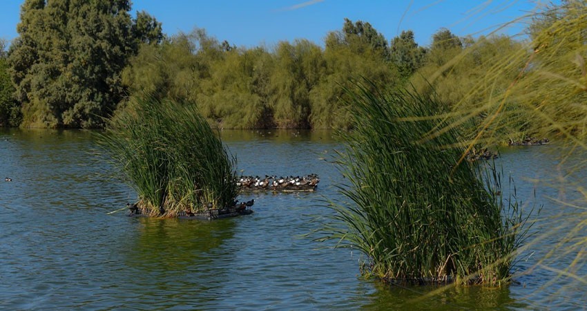 Eco parque, un espacio para el turismo natural y deportivo en La Paz