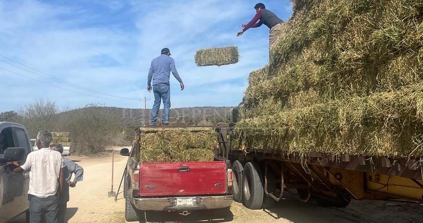 Rancheros Sudcalifornianos recaudan medio millón de pesos para atravesar crisis por sequía Rancheros Sudcalifornianos recaudan medio millón de pesos para atravesar crisis por sequía