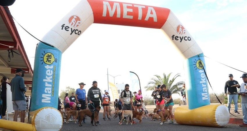 Gran éxito de la carrera-paseo “Canicross Etocane K-9, BCS” en la UABCS