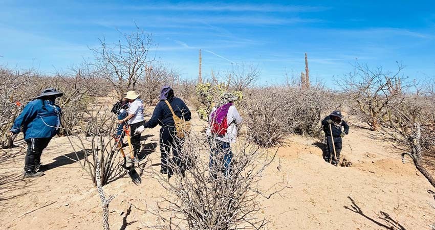 22 osamentas se han recuperado de 18 fosas clandestinas en la carretera a San Juan de la Costa