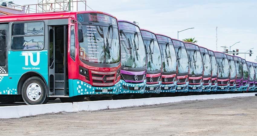 Los camiones del Tiburón Urbano, ahora permite pagar a varios pasajeros con una sola tarjeta