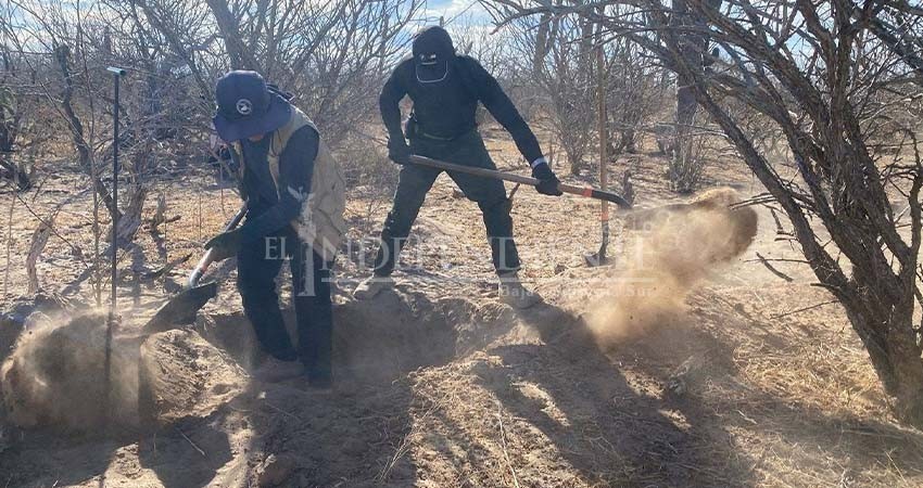 Collins Collins: En BCS se tiene una cifra histórica de 1,004 personas desaparecidas