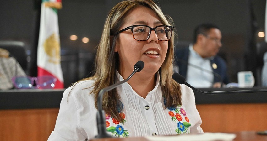 Llaman al Ayuntamiento de Mulegé a resolver el problema de sobre población canina