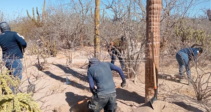 Localizan nueva fosa clandestina en Los Cabos; podría haber más de una osamenta en la zona